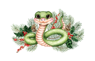 Green snake - with fir branches, red berries, holly and pine cones. Symbol of 2025, Chinese horoscope isolated from background. For designing New Year cards, scrapbooking, png