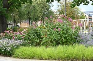a flower garden with a bench and trees photo