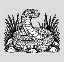 A straightforward depiction of a viper resting on a rock surrounded by grass vector