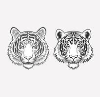 illustration featuring the tiger's face against a white backdrop. The drawing is clear and simple vector