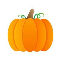Pumpkin. Vegetables. illustration. vector