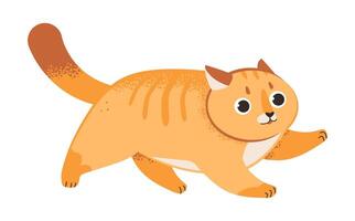Cute ginger running cat. Red cat isolated on a white background. vector