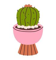 Illustration of a succulent cactus, showcasing its spiky and resilient nature. This art highlights contemporary and clean style, ideal for content on houseplants and botanical aesthetics vector