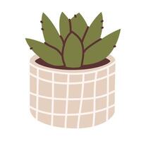 Flat illustration of a cactus in a pot isolated on a white background vector