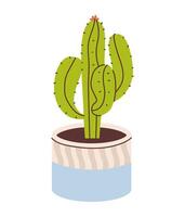 Cactus in a cute pot isolated on a white background. vector