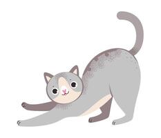 Playful gray cat. Cat isolated on a white background. vector