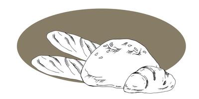 French baguette, loaf of bread and roll ink graphics. Fresh organic food composition in outline style for cafe, menu, bakery, bread packing design. Eco friendly vector