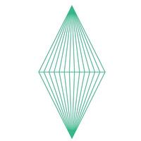 3D Wireframe Shape vector
