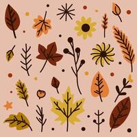 A set of multi-coloured autumn leaves on a light background. Yellow and red leaves are laid one by one and in pairs. vector