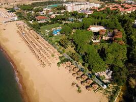 aerial view of a beach with beach chairs and palm trees, embodying the concept of a luxury summer island vacation with relaxation and idyllic getaway photo