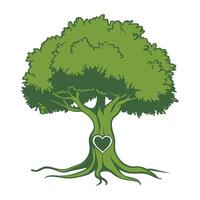 illustration of a lush green tree with a heart-shaped carving in its trunk vector