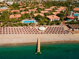 aerial view of a beach with beach chairs and palm trees, embodying the concept of a luxury summer island vacation with relaxation and idyllic getaway photo