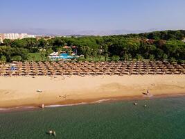 aerial view of a beach with beach chairs and palm trees, embodying the concept of a luxury summer island vacation with relaxation and idyllic getaway photo