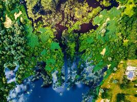Top view of river backwater with beautiful textured vegetation Background photo