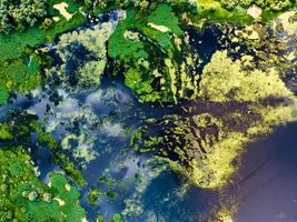 Top view of river backwater with beautiful textured vegetation Background photo