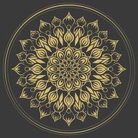 Decorative items to decorate your work. For the design and decoration background, packaging, fabrics, textiles. Abstract circular pattern mandala. Decorative Diwali Design texture vector