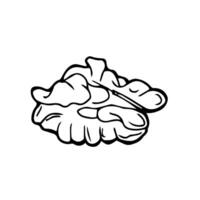 Peeled walnut line icon with editable stroke. Outline nut kernel pictogram in a graphic style. For web design and mobile app. Healthy food concept. illustration isolated on white background vector