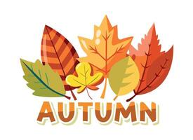 Vibrant Autumn Leaves Illustration vector