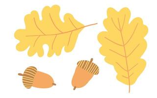 Illustration of two yellow oak leaves and two acorns, symbolizing autumn. The simple design captures the essence of fall with warm tones and natural elements, perfect for seasonal themes vector