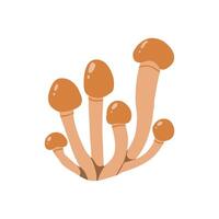 Illustration of a cluster of brown mushrooms with elongated stems and round caps. Detailed botanical design showcasing natural, organic fungi found in forests. Perfect for nature-themed projects vector