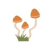 Three orange-capped mushrooms with slender, wavy stems grow out of a small patch of green grass, set against white background. The simple, minimalistic illustration exudes natural and whimsical feel. vector