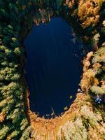 Aerial Drone view of colorful top of the forest and a lake at Autumn photo