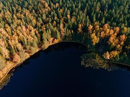 Aerial Drone view of colorful top of the forest and a lake at Autumn photo