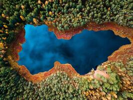 Aerial Drone view of colorful top of the forest and a lake at Autumn photo