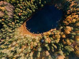 Aerial Drone view of colorful top of the forest and a lake at Autumn photo