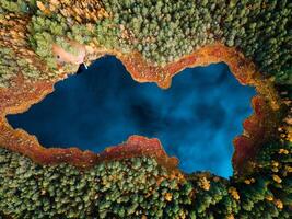 Aerial Drone view of colorful top of the forest and a lake at Autumn photo