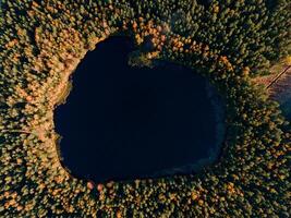 Aerial Drone view of colorful top of the forest and a lake at Autumn photo