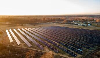 Aerial view of industrial sized solar panel farm during sunset, illustrating the blend of technology and nature photo