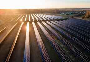 Aerial view of industrial sized solar panel farm during sunset, illustrating the blend of technology and nature photo