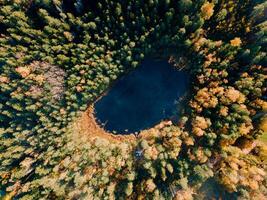Aerial Drone view of colorful top of the forest and a lake at Autumn photo