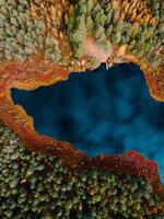 Aerial Drone view of colorful top of the forest and a lake at Autumn photo