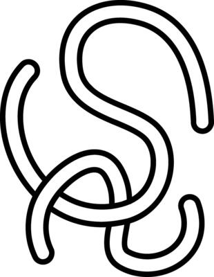 Roundworm Line Icon