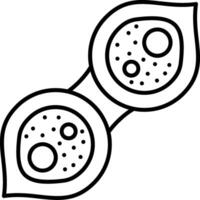 Pleurotaenium Ovatum Line Icon vector