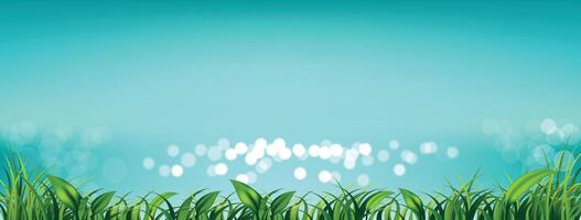 Sky with fresh green grass and light bokeh the sea for Spring or summer background vector