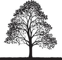 field maple tree, black color silhouette vector