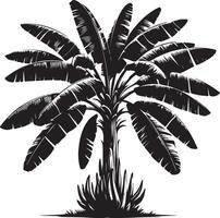 Banana Tree Tree, black color silhouette vector