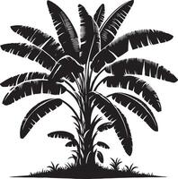 Banana Tree Tree, black color silhouette vector