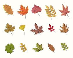 botanical color line art autumn leafs elements. hand drawn leaves, leaf branch, colorful bright. Foliage collection for bouquets, decoration, invitation. vector