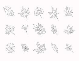 Decoration Branch Leaf Plant Line art Symbol Set Collection bw isolated on white background vector