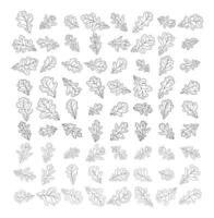 Set of silhouettes of a realistic shape of oak leaves vector