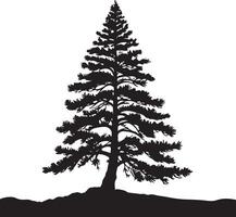 a pine tree, black color silhouette, isolated white background vector