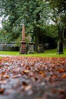 Liverpool Cathedral Cemetery, a Place of Tranquility, History and Remembrance in the Heart of the City photo