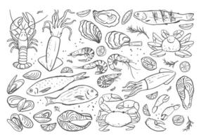 Hand drawn different seafood set. Different types of fish and sea creatures in simple doodle style vector