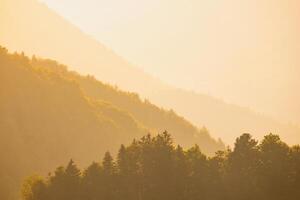 Sunset Summit The Alps in Glorious Golden Light photo