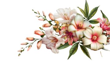 Delicate Pink and White Flowers Blooming on a Transparent Background, a Beautiful Floral Arrangement for Design Inspiration. png