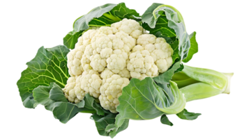 Cauliflower with Green Leaves Realistic Image png